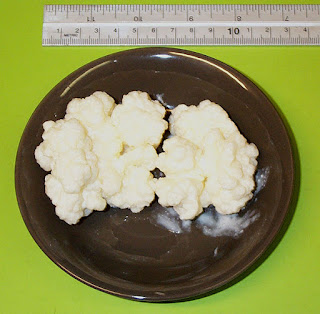 Kefir on a plate