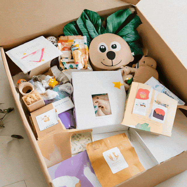 Monthly Toddler Subscription Box