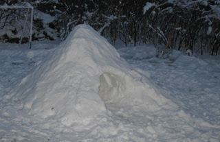 igloo