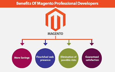 Magento Website Development