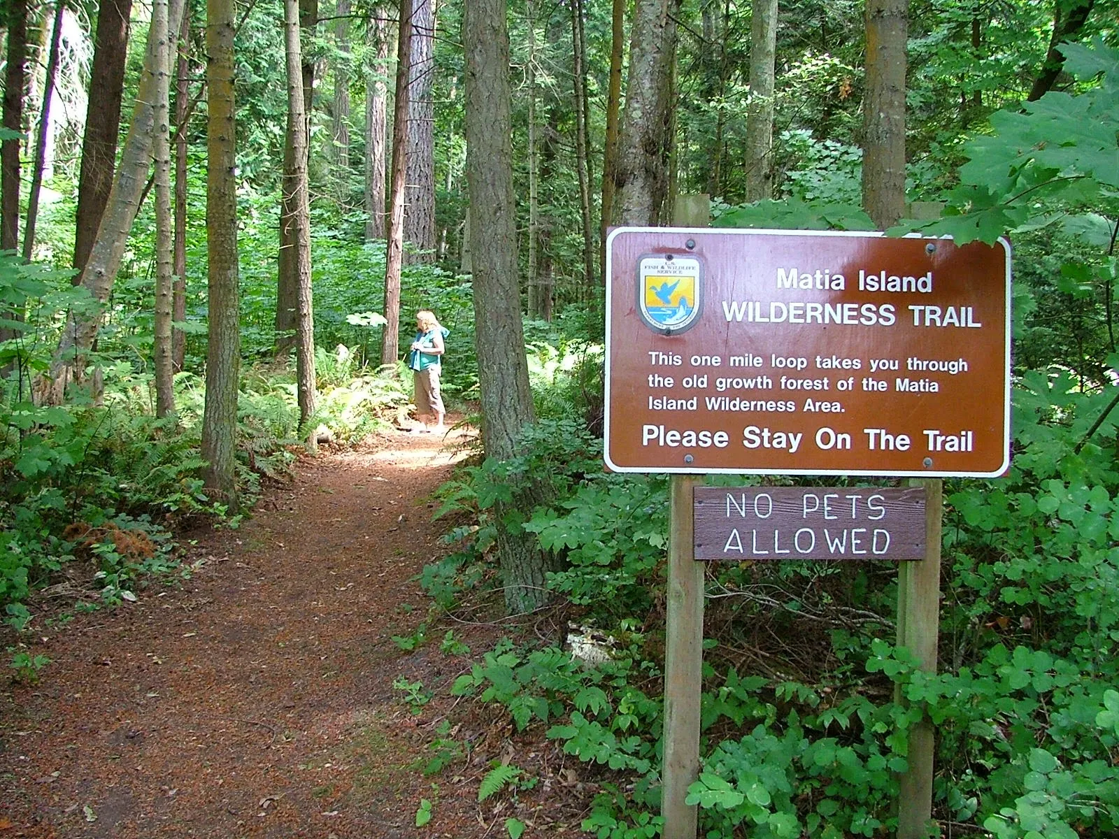 Matia Island in the San Juans