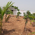 Prime 1 Acre Farm Land for Sale in Moinabad, Hyderabad – Ideal Investment Opportunity!