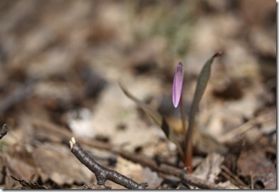 IMG_8015_edit