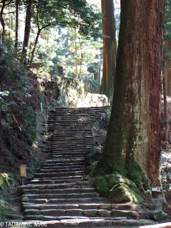 Murouji Temple, Kyoto sightseeing