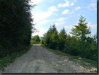 DSCN4436
