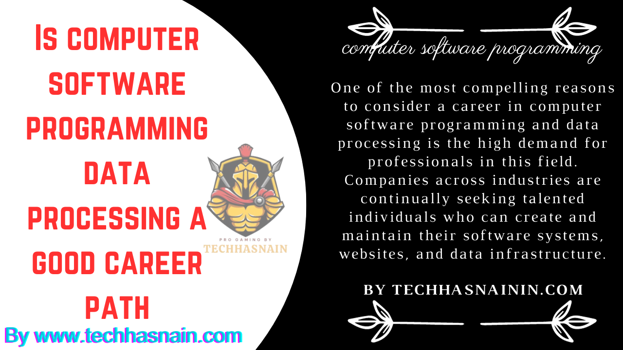 Is computer software programming data processing a good career path