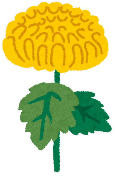 菊のイラスト 黄色い菊 かわいいフリー素材集 いらすとや