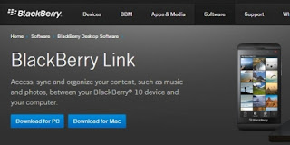 Site Download Blackberry Link