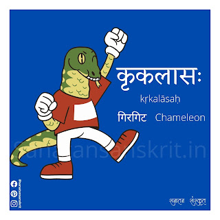 Chameleon (गिरगिट) in Sanskrit