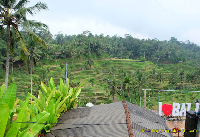 Tegalalang rice terrace 27 November 2018