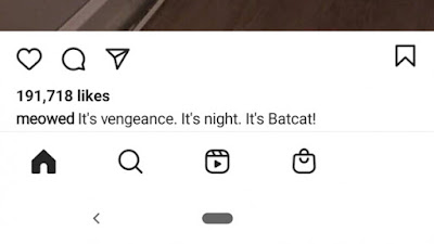 Instagram Big update? Reels and Shopping tabs on the bottom bar