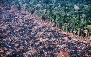 amazonia 3