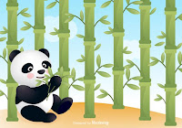 Panda HD Photo