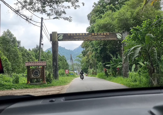 hoga tea valley gopeng, apa yang menarik di gopeng, must visit place in perak,