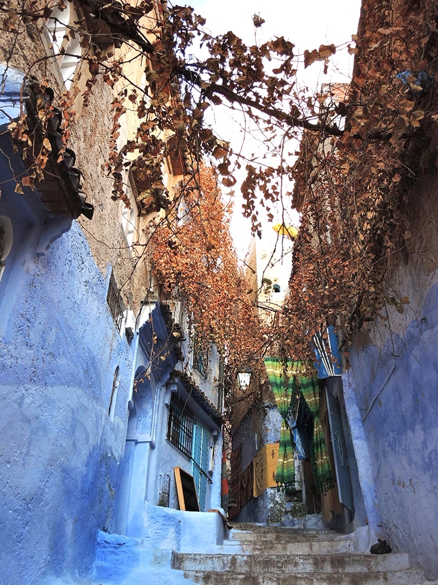 Marokko : veel blauw in Chefchaouen