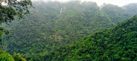 Nongriat village tucked under dense rainforests, Meghalaya