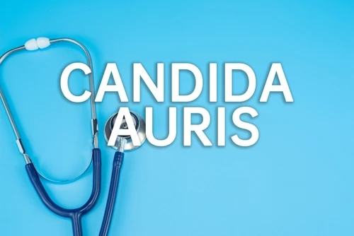 «Candida Auris»