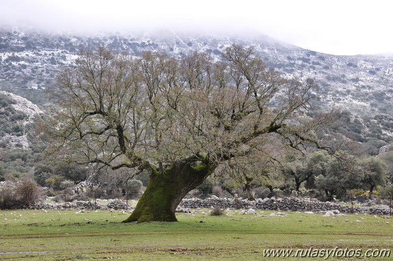 Llanos de Líbar