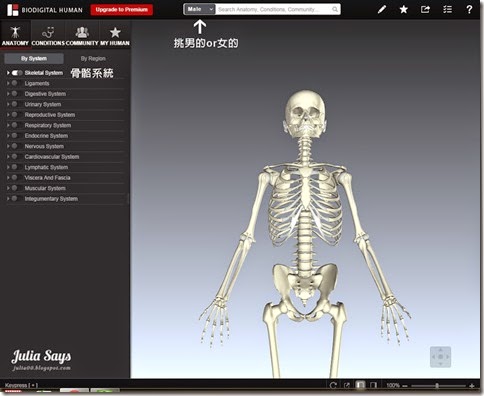 biodigital02