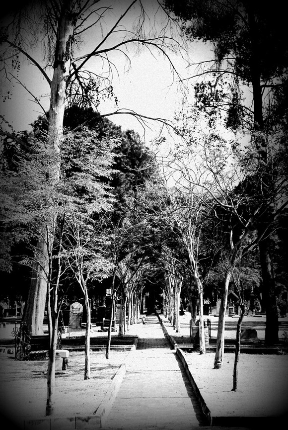 F1000012 B&W F1000012 B&W