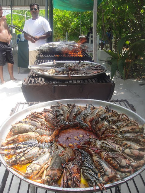 Lobster Maldives