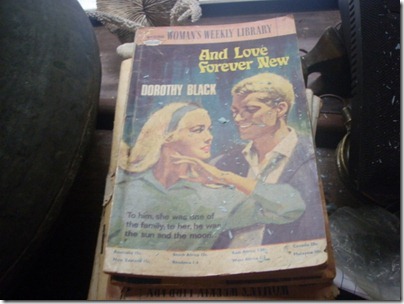 1964 And Love  Forever New by Dorothy Black