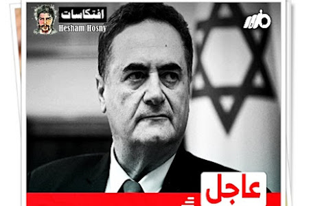 رويترز عن وزير خارجية إسرائيل: مهمة تفادي حدوث أزمة إنسانية في غـ.ـزة تقع الآن على عاتق أصدقائنا المصريين