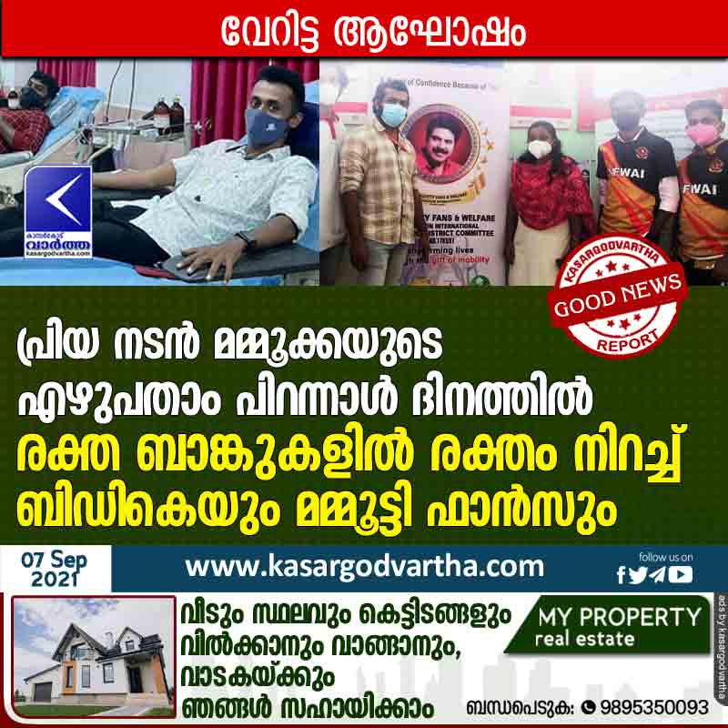 Kasaragod, News, Kerala, Blood donated on Mammootty's birthday.