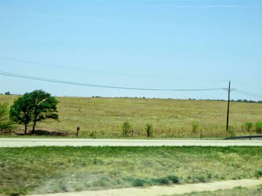 IMG_2785 (Medium)