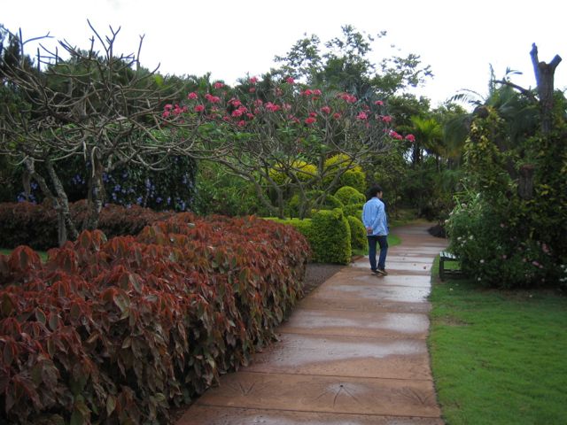 This Is Life ハワイ カウアイ島 1 国立熱帯植物園 アラートン庭園 National Tropical Botanical Garden Allerton Garden