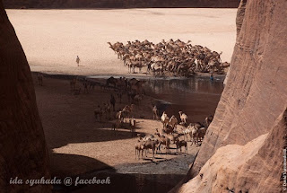 Gurun Sahara Yang Menakjubkan