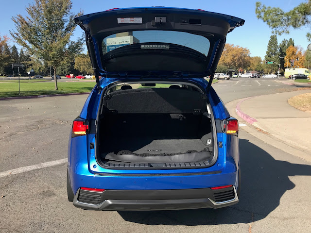 Rear door open on 2020 Lexus NX 300h