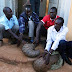 Two In Police Cells Over Pangolin Scales Worth Shs251 Million