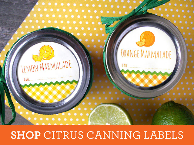 Citrus canning labels collection