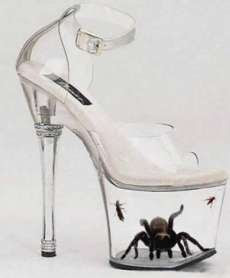 Most Dangerous Shoe in the World: Tarantula Shoe