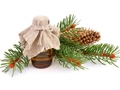 Organic Therapeutic Grade Essential Oil, Organic Essential Oils Wholesale, Natural Essential Oils Supplier