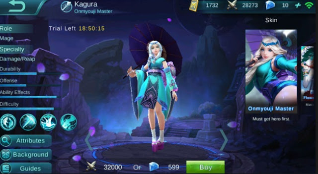 Hero Mage Tersakit