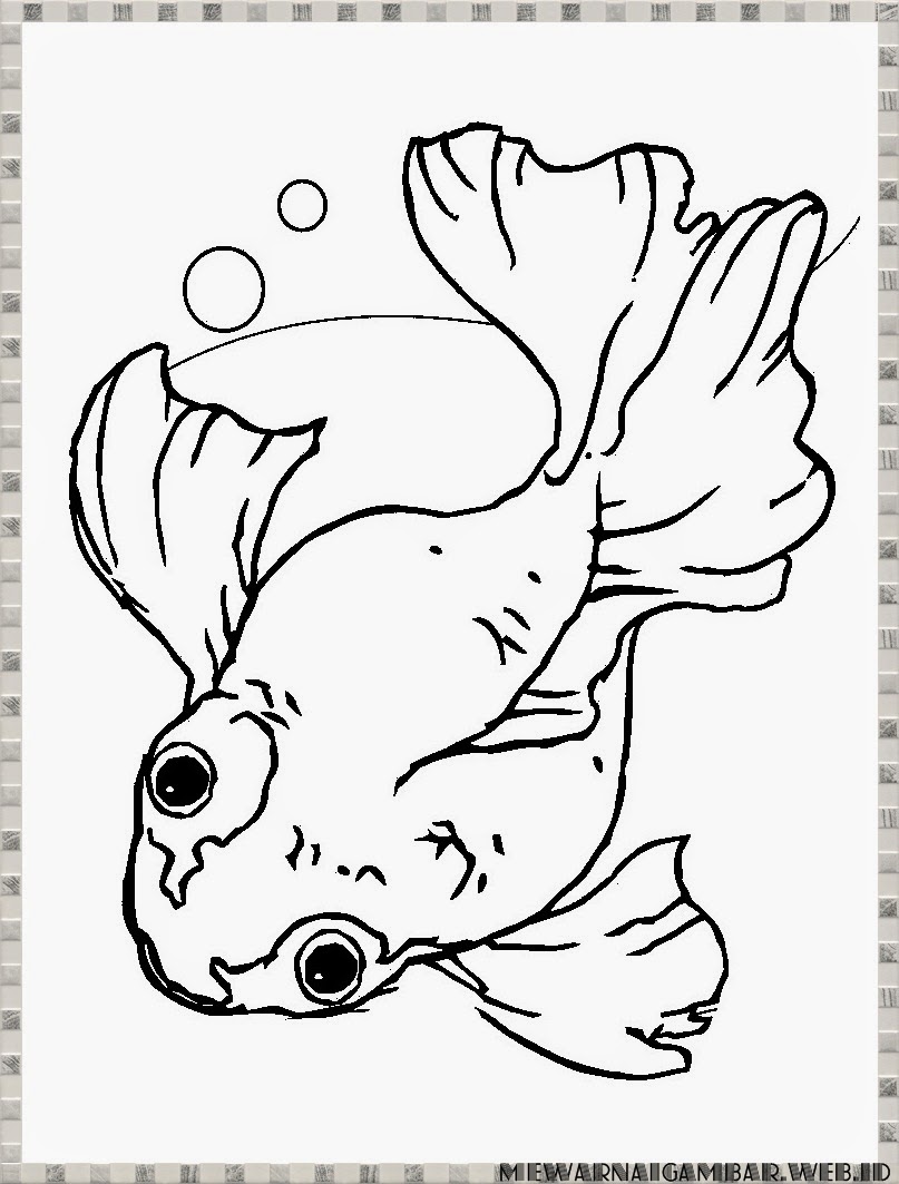 Mewarnai Gambar Ikan Mas Koki - gambarmewarnai2019