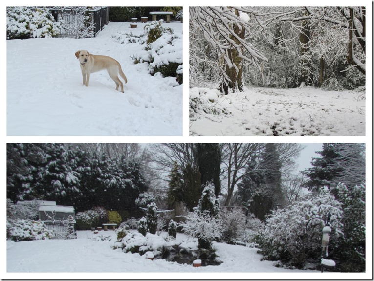 WinterMarch 2013