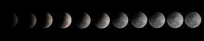 Lunar Cycles - Photo by Marcus Dall Col on Unsplash