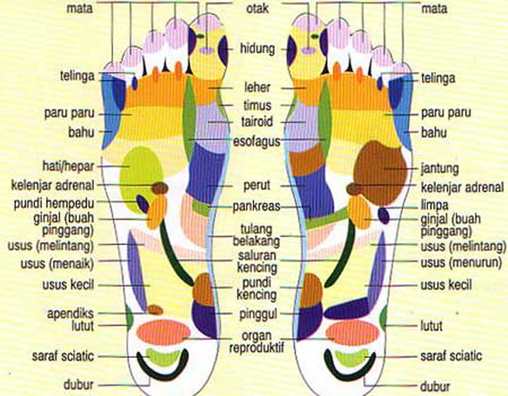 ... kaki, berikut gambar telapak kaki dengan titik-titik refleksinya (klik