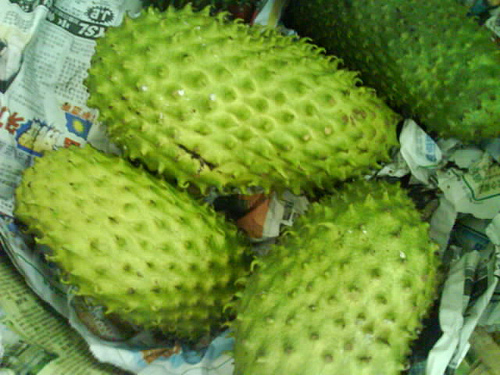 Umibatrisya: durian belanda anti kanser