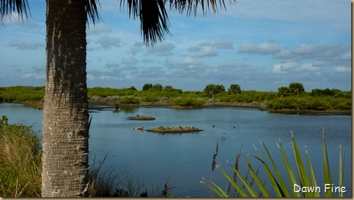 Merritt Island-black point drive_042