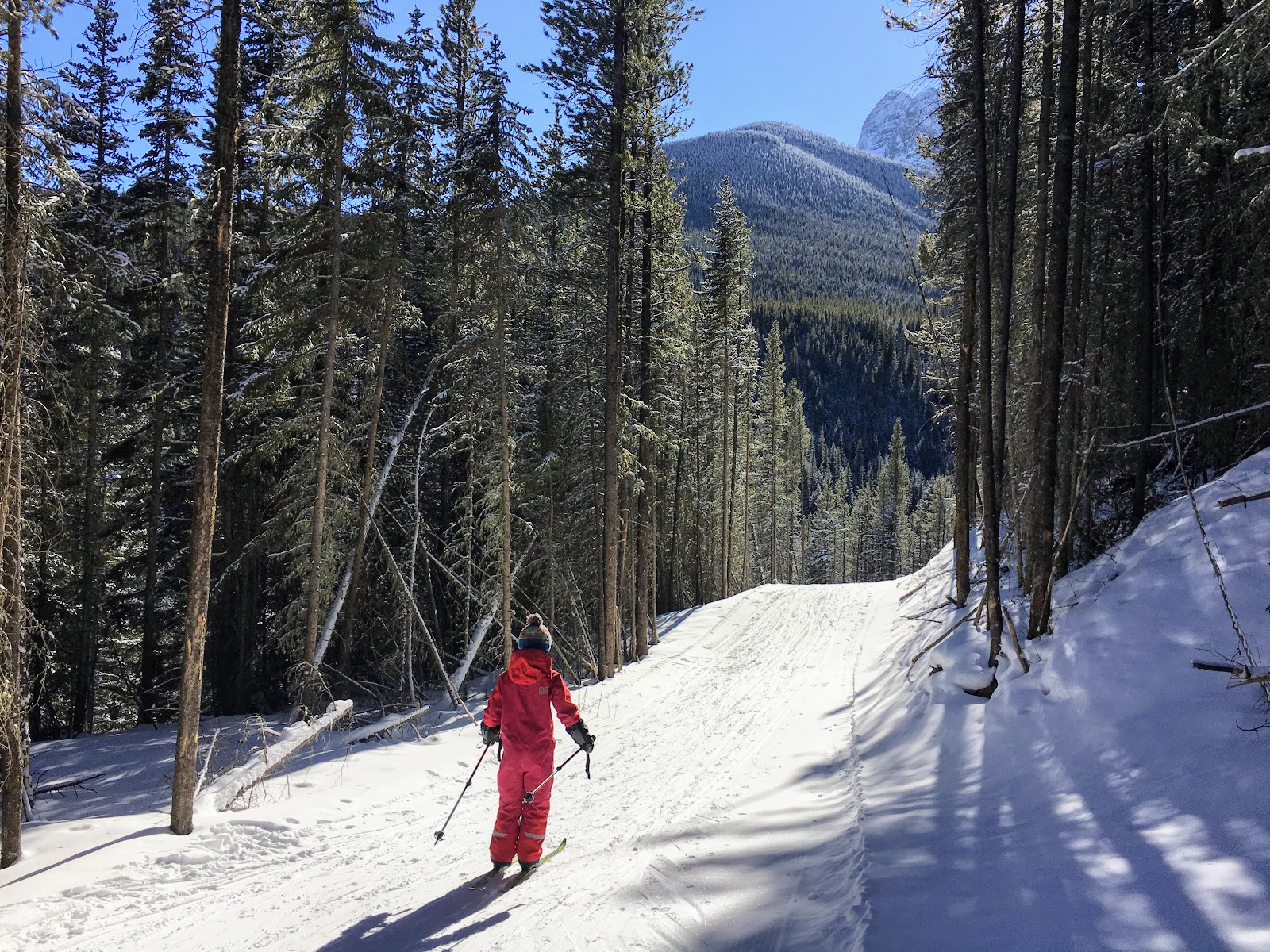 Family Adventures in the Canadian Rockies: Exploring Ribbon Creek in  Kananaskis (On Skis!)