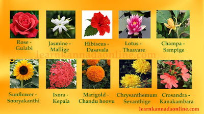 flower names in Kannada-part1