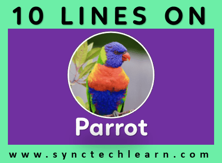 short essay on Parrot