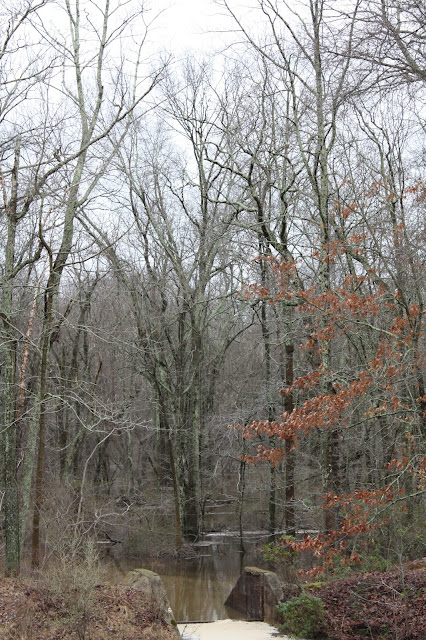 Scenic pond at Allaire State Park in New Jersey.