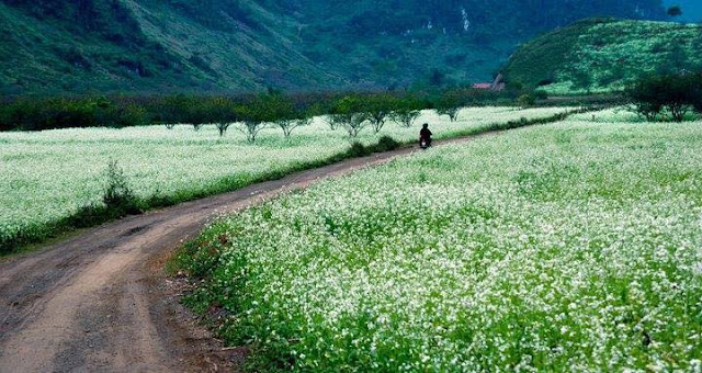 đi du lịch mùa đông