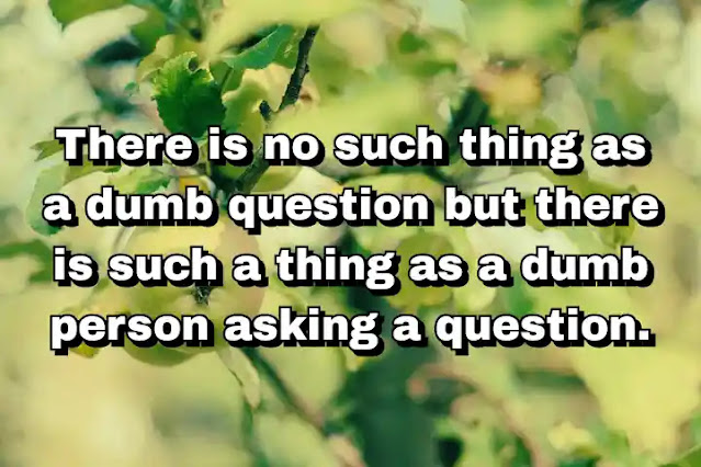 "There is no such thing as a dumb question but there is such a thing as a dumb person asking a question." ~ Behdad Sami