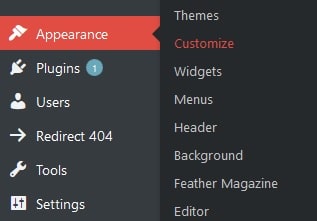 Custom CSS WordPress